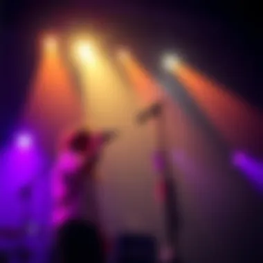 Artist performing vocal cover Singer showcasing their unique interpretation of Infinite Baths Outro during a live performance