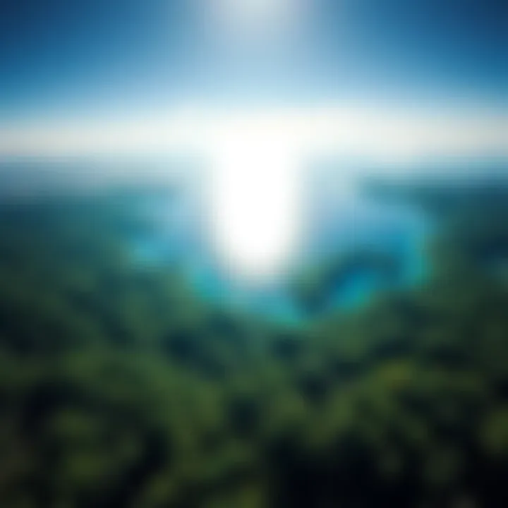 A vibrant view of Earth showing lush green forests, sparkling blue oceans, and clear skies, symbolizing nature's beauty and importance.