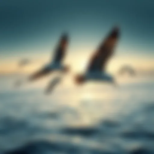 A group of birds soaring over a calm ocean, illustrating the contrast between gravity and flight
