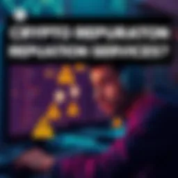 A frustrated crypto enthusiast looking at their tokens on a computer screen, which are flagged with warning signs for being labeled as 'rug pulls', symbolizing their struggle with reputation services.