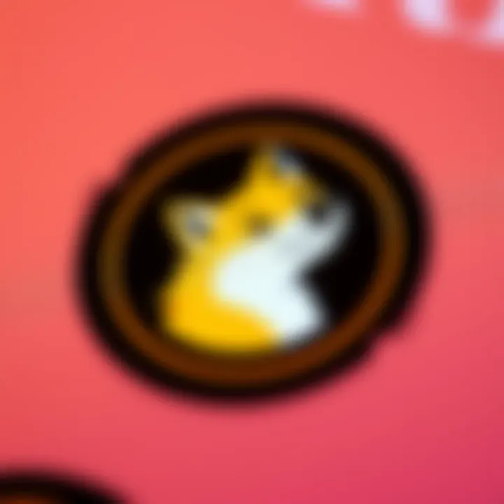 A close-up view of the Doge Wallet app interface showing user feedback and updates.