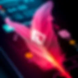 A close-up of the Feather Wallet interface showing its features and user-friendly design