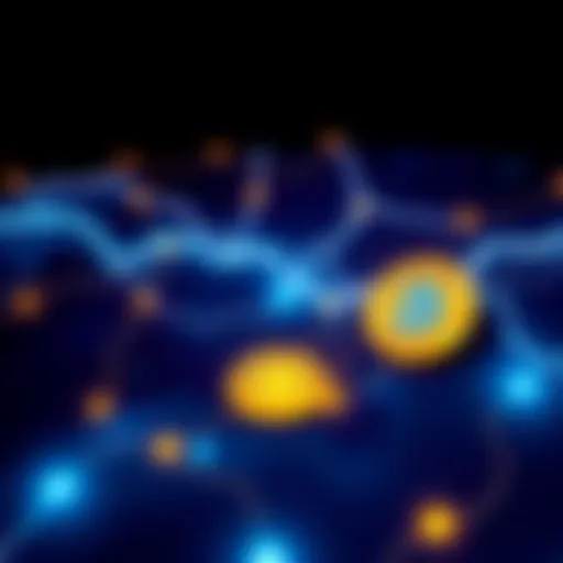 Graphic showing Bitcoin transactions facilitated by HodlHodl's Lightning Network, highlighting small trades without ID checks.