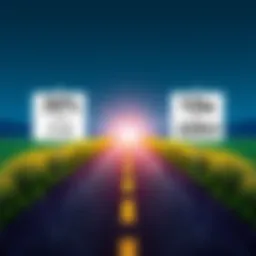 Two paths representing investment strategies: one labeled '30% and Chill' with a relaxed vibe and the other labeled '10x or Zero' showing a bold, aggressive approach.