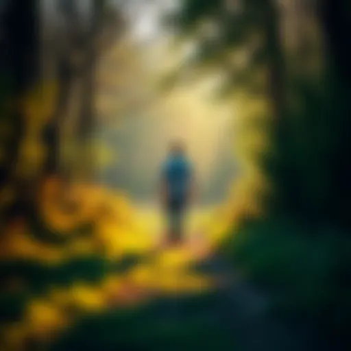 A person walking through a nature trail, reflecting and finding peace in their surroundings.