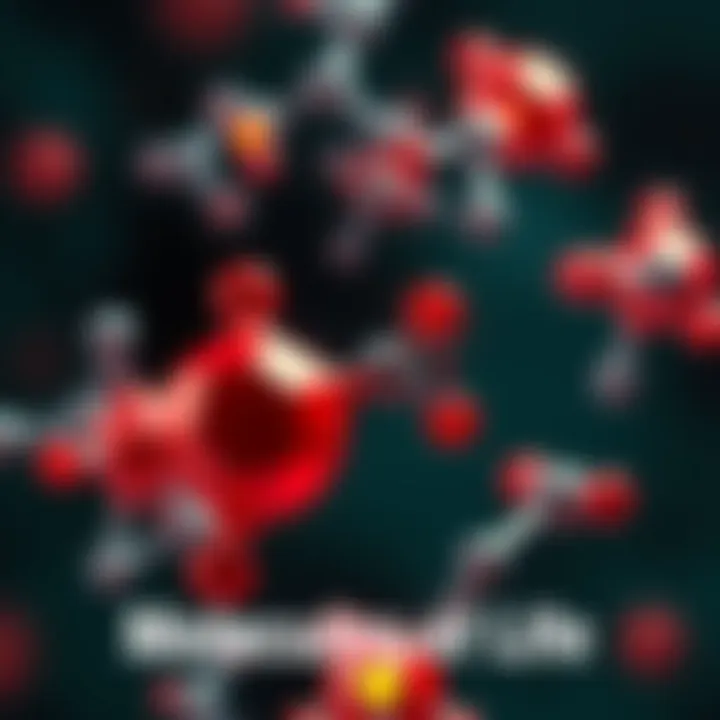 A close-up view of organic molecules representing the building blocks of life, including shapes of carbon, hydrogen, and nitrogen atoms connected together.