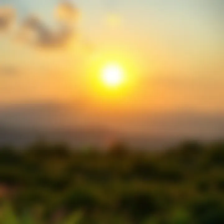 A bright sunrise illuminating a peaceful landscape with a clear sky, symbolizing a fresh start and positivity.