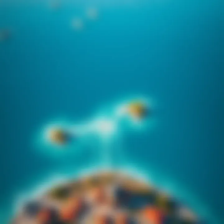 A picturesque view of a calm ocean with dotted islands and potential property areas marked with flags