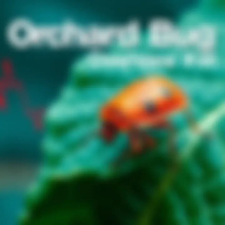 A close-up of an Orchard Bug on a leaf, representing concerns among crypto enthusiasts about its impact.