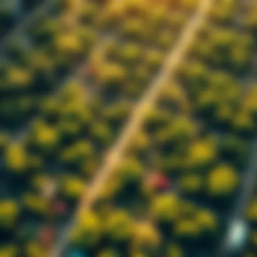 A graphic showing many individual plots with an emphasis on the number 10,000 and its impact on growth and interactions.