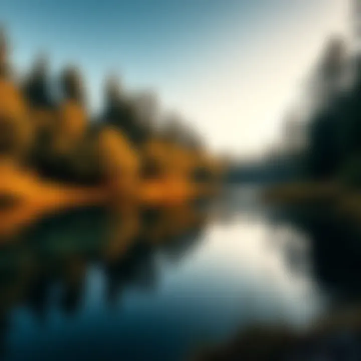 A serene forest scene with trees surrounding a calm lake, reflecting the clear sky, evoking a sense of peace and silence