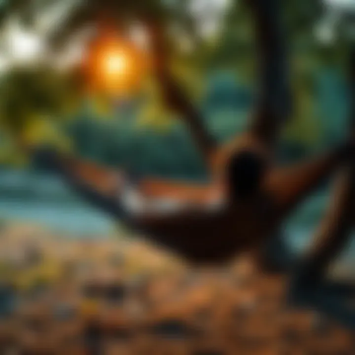 Relaxing in Nature A person lounging on a hammock under trees, enjoying a peaceful moment in nature.