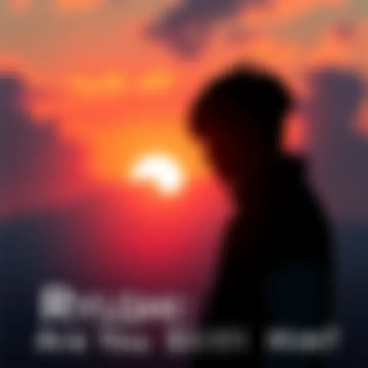 A silhouette of a person looking at a sunset, symbolizing identity and introspection related to Ryoshi.