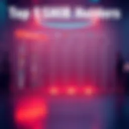 A visual representation of the top wallets holding $SHIB tokens as of October 30, 2020, showcasing significant holders during a low-interest period.