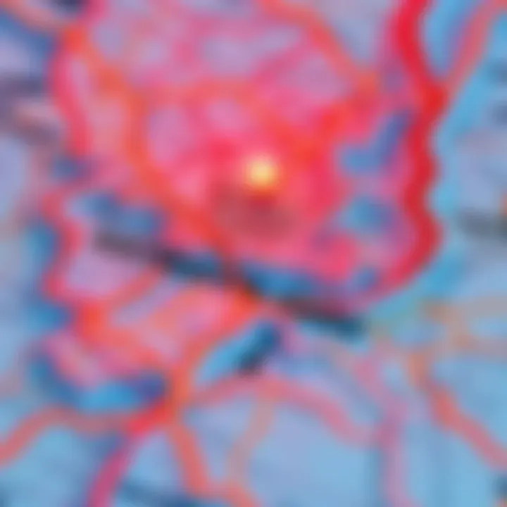 A detailed map highlighting disputed town borders with clear markings