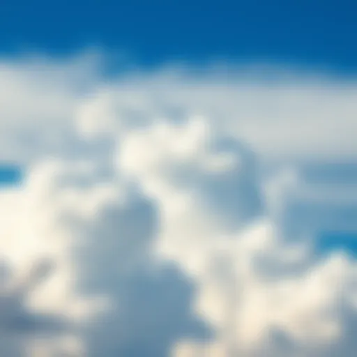 A variety of unusual cloud shapes against a bright blue sky, showcasing nature's artistry.