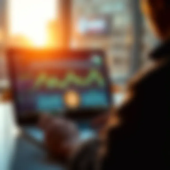 A person analyzing cryptocurrency transfers and loans on a laptop with graphs and currency symbols visible on the screen