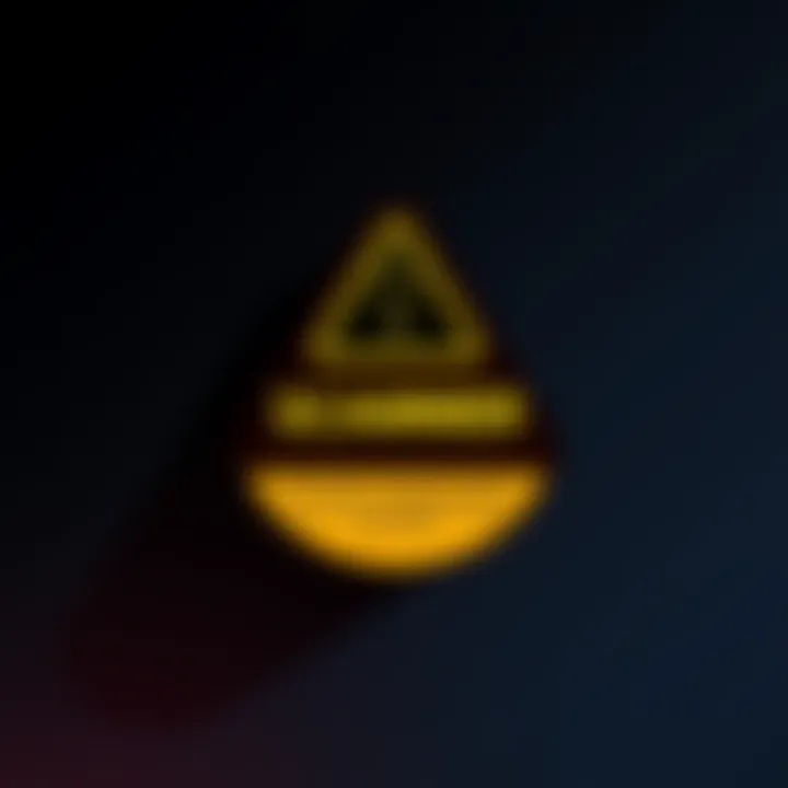 A graphic warning symbol with text about a scammer named Hopeful_Avocado301 and advice to stay safe online